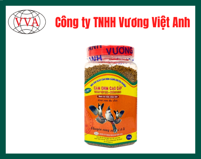 Cám chào mào đấu Vương Việt Anh - Khánh Long