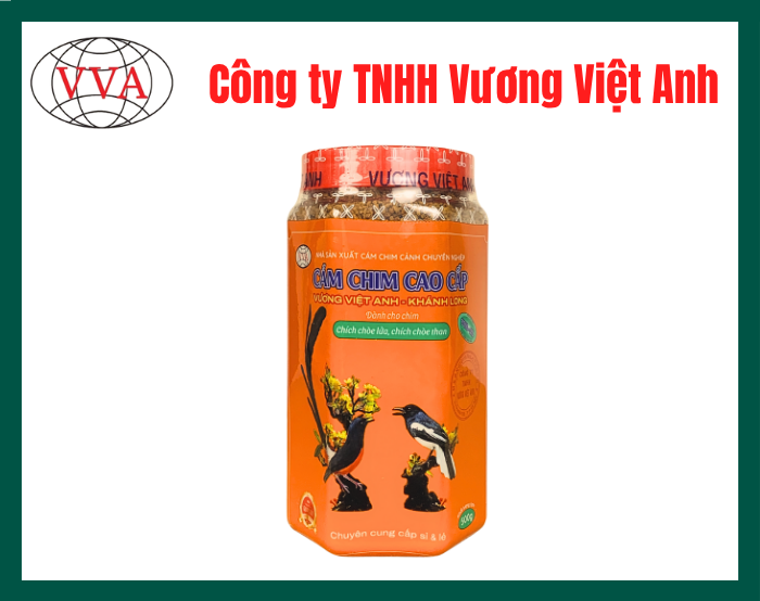 Cám dành cho chim Chòe Lửa - Chòe Than Vương Việt Anh - Khánh Long