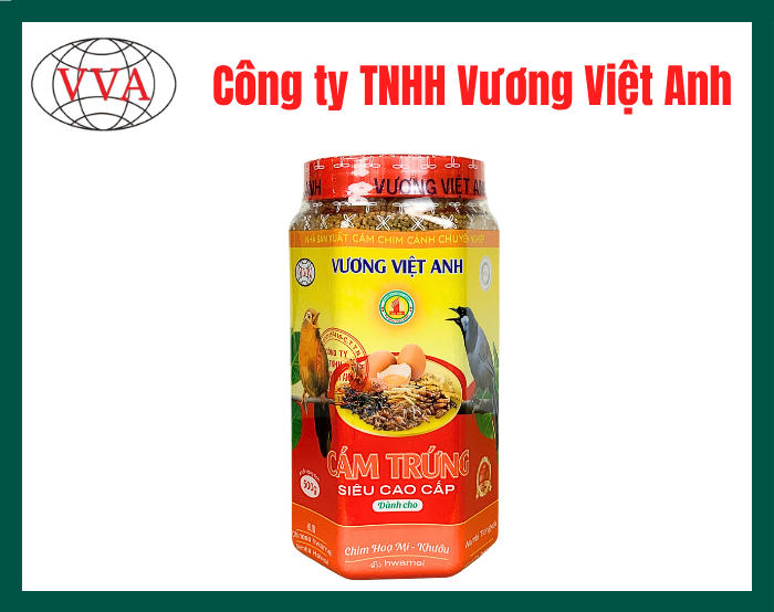 Cám trứng dành cho chim Họa Mi - Khướu Vương Việt Anh