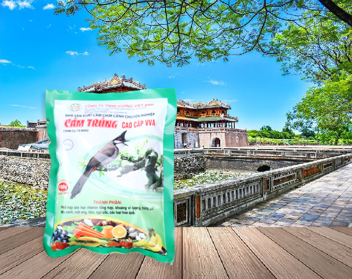 Cám trứng cao cấp VVA - Chim chào mào